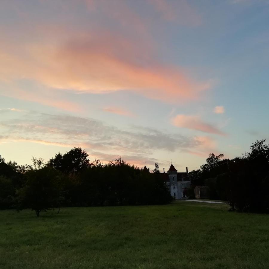 Chateau Des Salles Saint-Fort-sur-Gironde Bagian luar foto