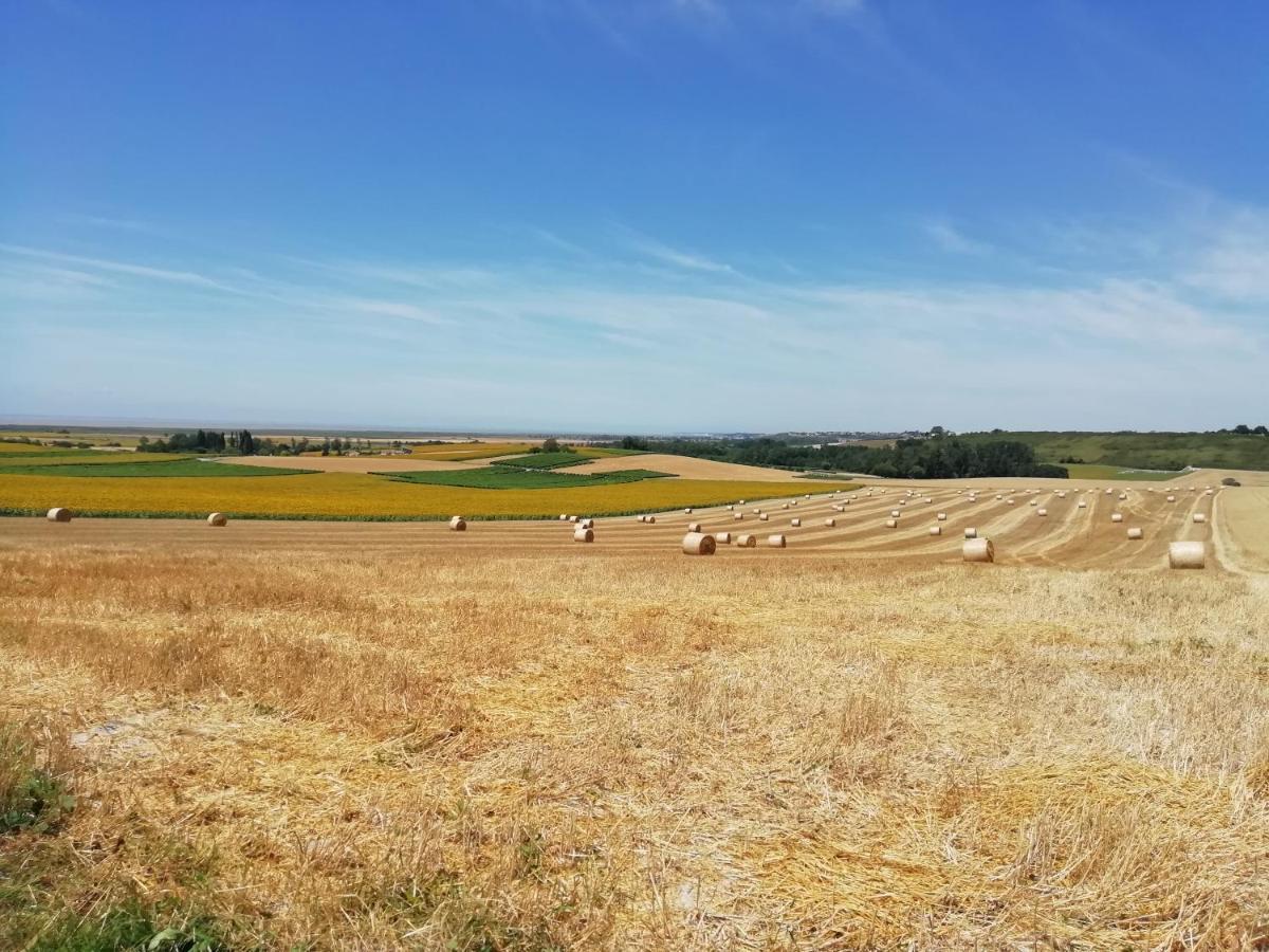 Chateau Des Salles Saint-Fort-sur-Gironde Bagian luar foto
