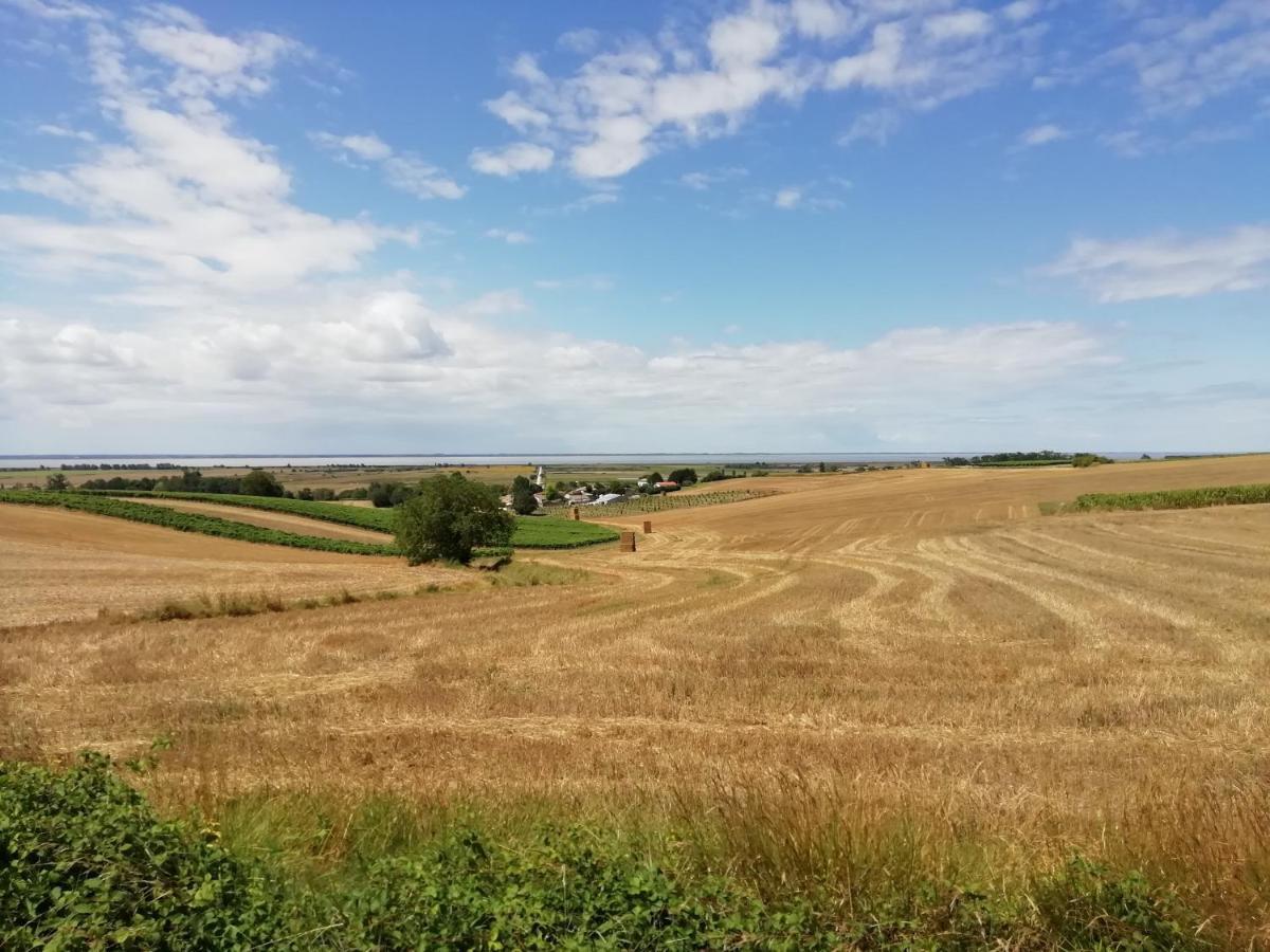 Chateau Des Salles Saint-Fort-sur-Gironde Bagian luar foto