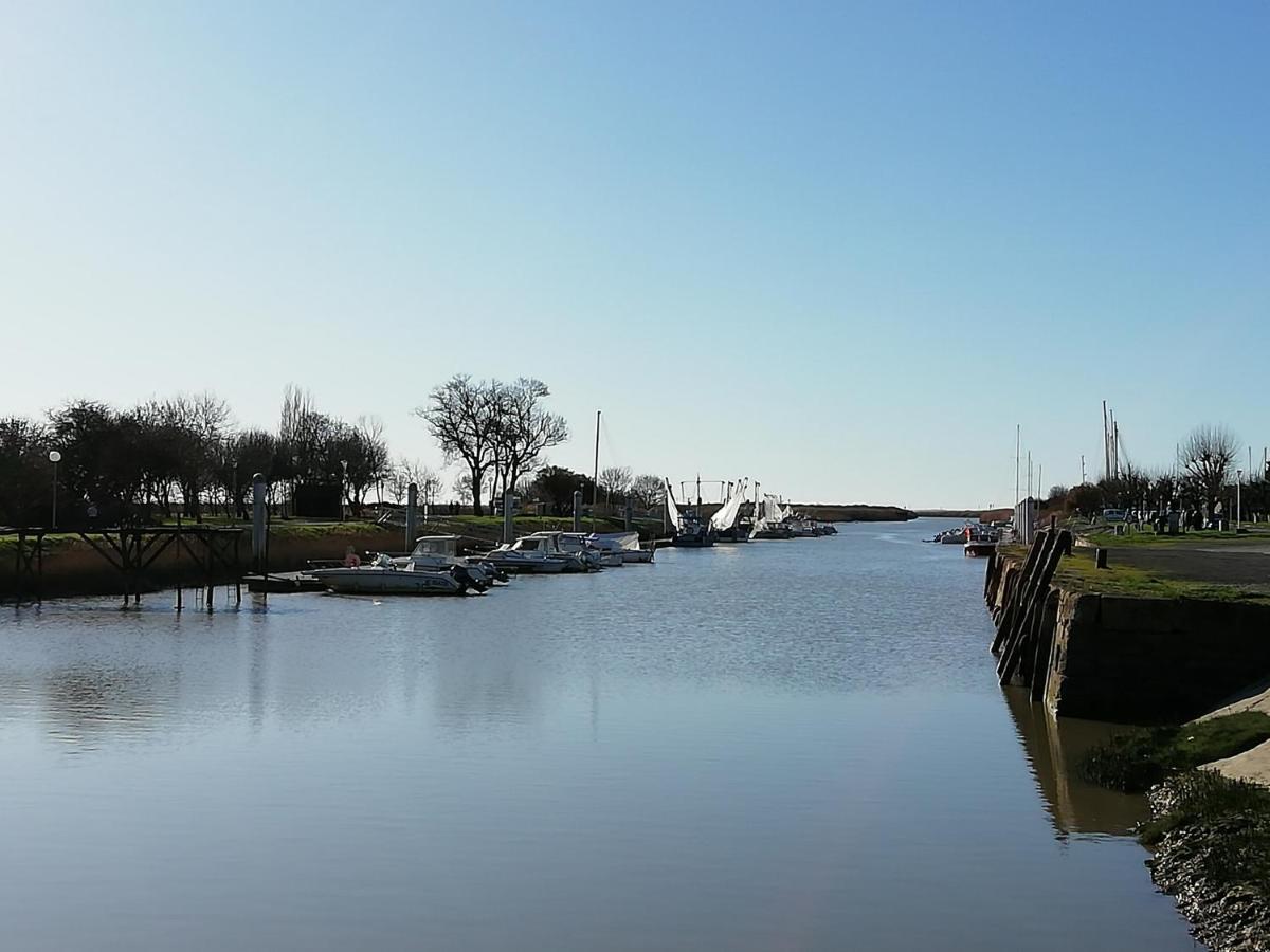 Chateau Des Salles Saint-Fort-sur-Gironde Bagian luar foto