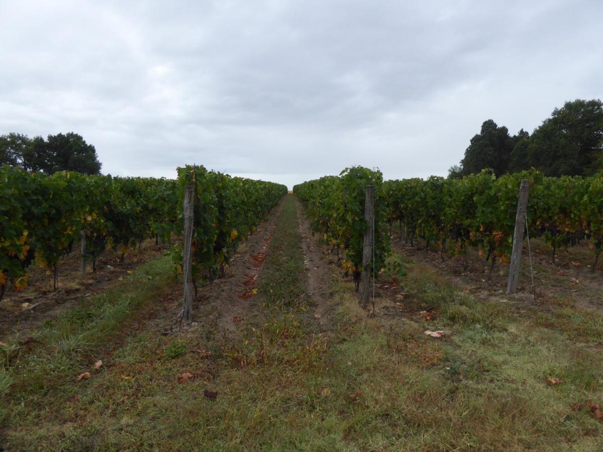 Chateau Des Salles Saint-Fort-sur-Gironde Bagian luar foto