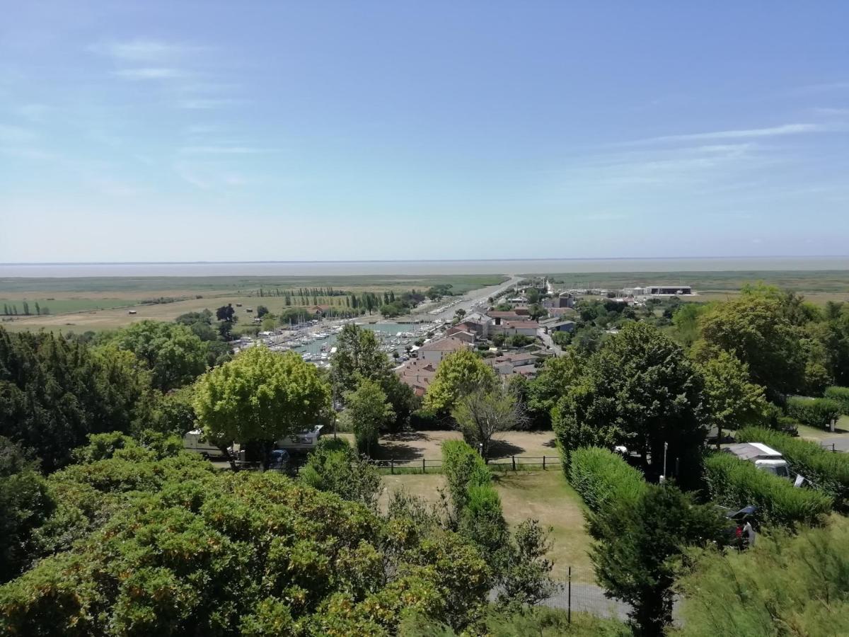 Chateau Des Salles Saint-Fort-sur-Gironde Bagian luar foto