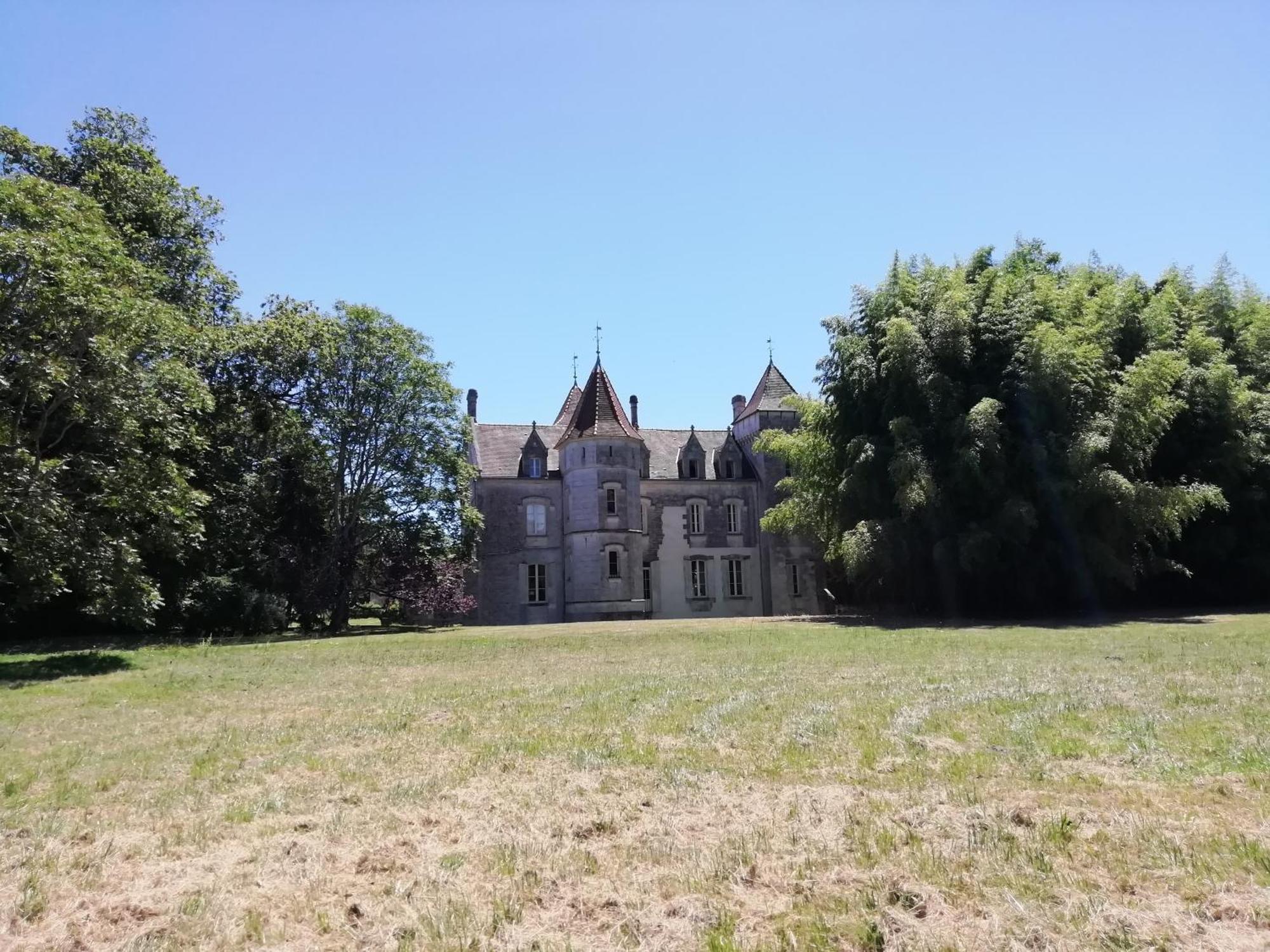 Chateau Des Salles Saint-Fort-sur-Gironde Bagian luar foto