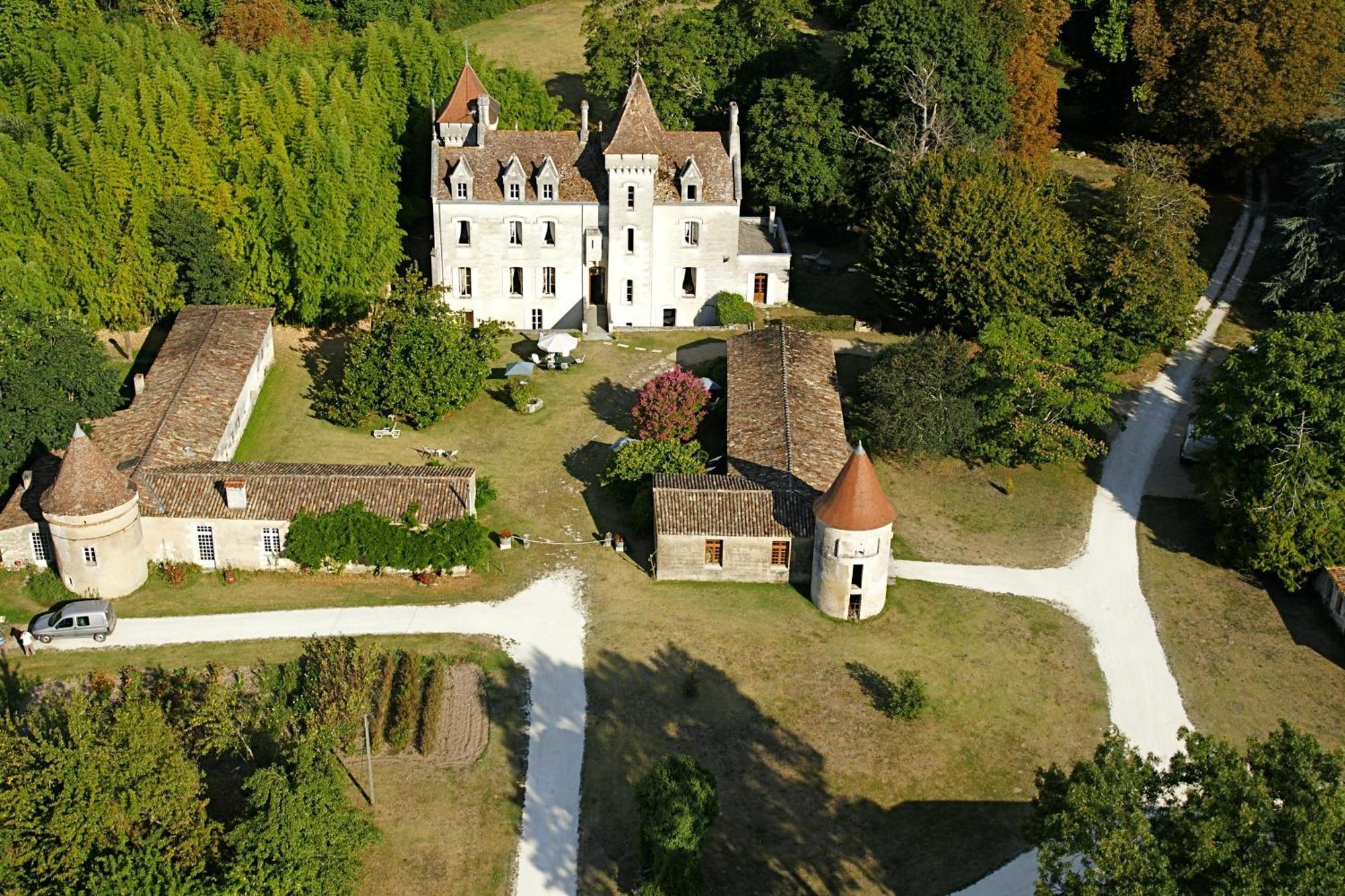Chateau Des Salles Saint-Fort-sur-Gironde Bagian luar foto